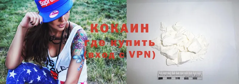 купить закладку  Верхняя Пышма  COCAIN VHQ 